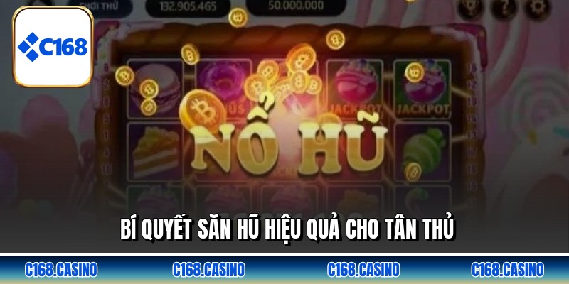 Bí quyết săn hũ hiệu quả cho tân thủ